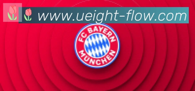 U8国际合作伙伴