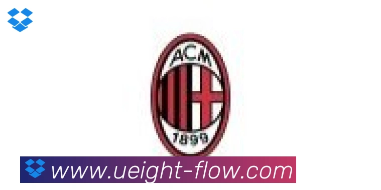 U8国际合作伙伴