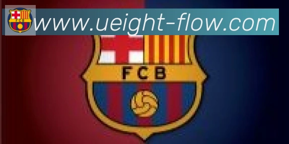 U8国际合作伙伴